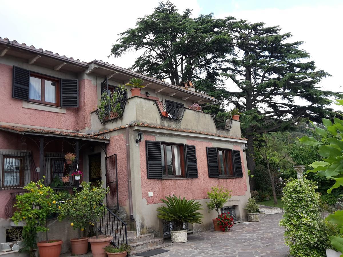 Bed&Breakfast "Fiorella" Sul Lago Castel Gandolfo Exteriör bild